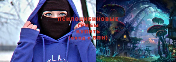первитин Алексин