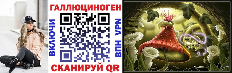 Купить где  Волжский  Галлюциногенные грибы Psilocybine cubensis 